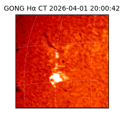 gong - 2026-04-01T20:00:42