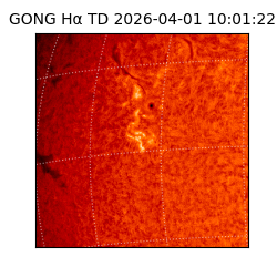 gong - 2026-04-01T10:01:22