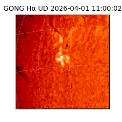 gong - 2026-04-01T11:00:02