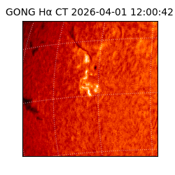 gong - 2026-04-01T12:00:42