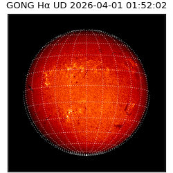gong - 2026-04-01T01:52:02