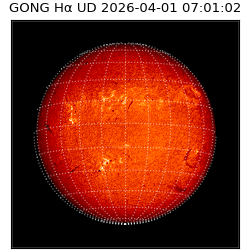 gong - 2026-04-01T07:01:02