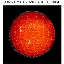 gong - 2026-04-01T19:00:42