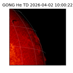 gong - 2026-04-02T10:00:22