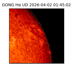 gong - 2026-04-02T01:45:02