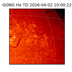 gong - 2026-04-02T10:00:22