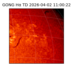 gong - 2026-04-02T11:00:22