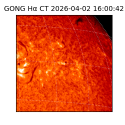 gong - 2026-04-02T16:00:42