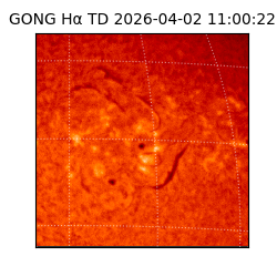 gong - 2026-04-02T11:00:22