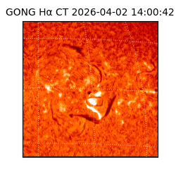 gong - 2026-04-02T14:00:42