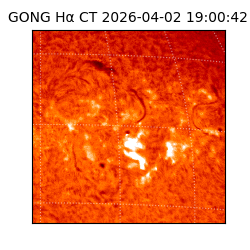 gong - 2026-04-02T19:00:42