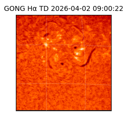 gong - 2026-04-02T09:00:22