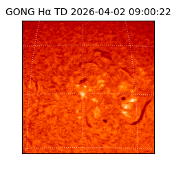 gong - 2026-04-02T09:00:22