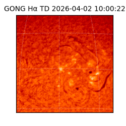 gong - 2026-04-02T10:00:22