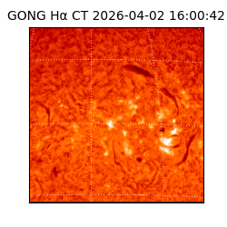 gong - 2026-04-02T16:00:42