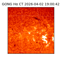 gong - 2026-04-02T19:00:42