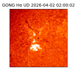 gong - 2026-04-02T02:00:02