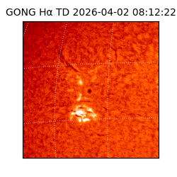 gong - 2026-04-02T08:12:22