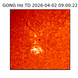 gong - 2026-04-02T09:00:22