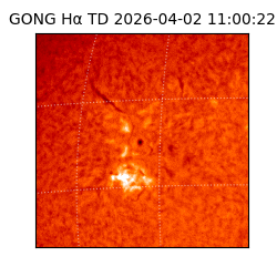 gong - 2026-04-02T11:00:22