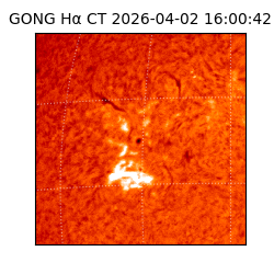 gong - 2026-04-02T16:00:42