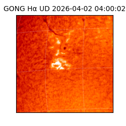 gong - 2026-04-02T04:00:02