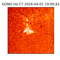 gong - 2026-04-02T19:00:42