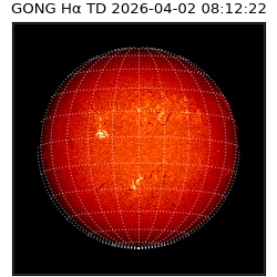 gong - 2026-04-02T08:12:22