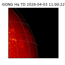 gong - 2026-04-03T11:00:22