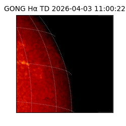 gong - 2026-04-03T11:00:22