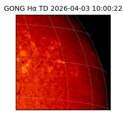 gong - 2026-04-03T10:00:22