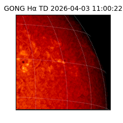 gong - 2026-04-03T11:00:22