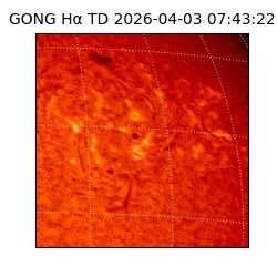 gong - 2026-04-03T07:43:22
