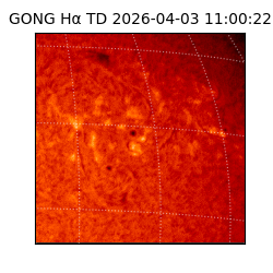 gong - 2026-04-03T11:00:22