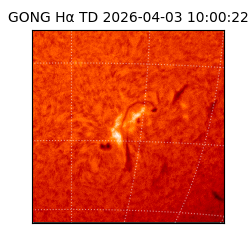 gong - 2026-04-03T10:00:22