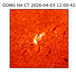 gong - 2026-04-03T12:00:42