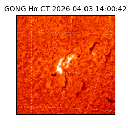 gong - 2026-04-03T14:00:42