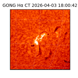 gong - 2026-04-03T18:00:42