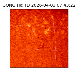 gong - 2026-04-03T07:43:22