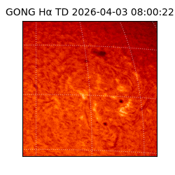 gong - 2026-04-03T08:00:22