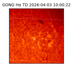 gong - 2026-04-03T10:00:22