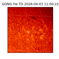 gong - 2026-04-03T11:00:22