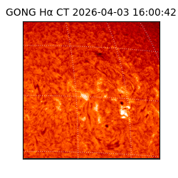 gong - 2026-04-03T16:00:42