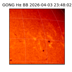 gong - 2026-04-03T23:48:02