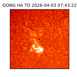 gong - 2026-04-03T07:43:22