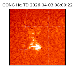 gong - 2026-04-03T08:00:22