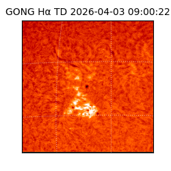 gong - 2026-04-03T09:00:22