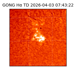 gong - 2026-04-03T07:43:22