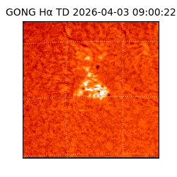 gong - 2026-04-03T09:00:22