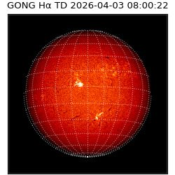 gong - 2026-04-03T08:00:22